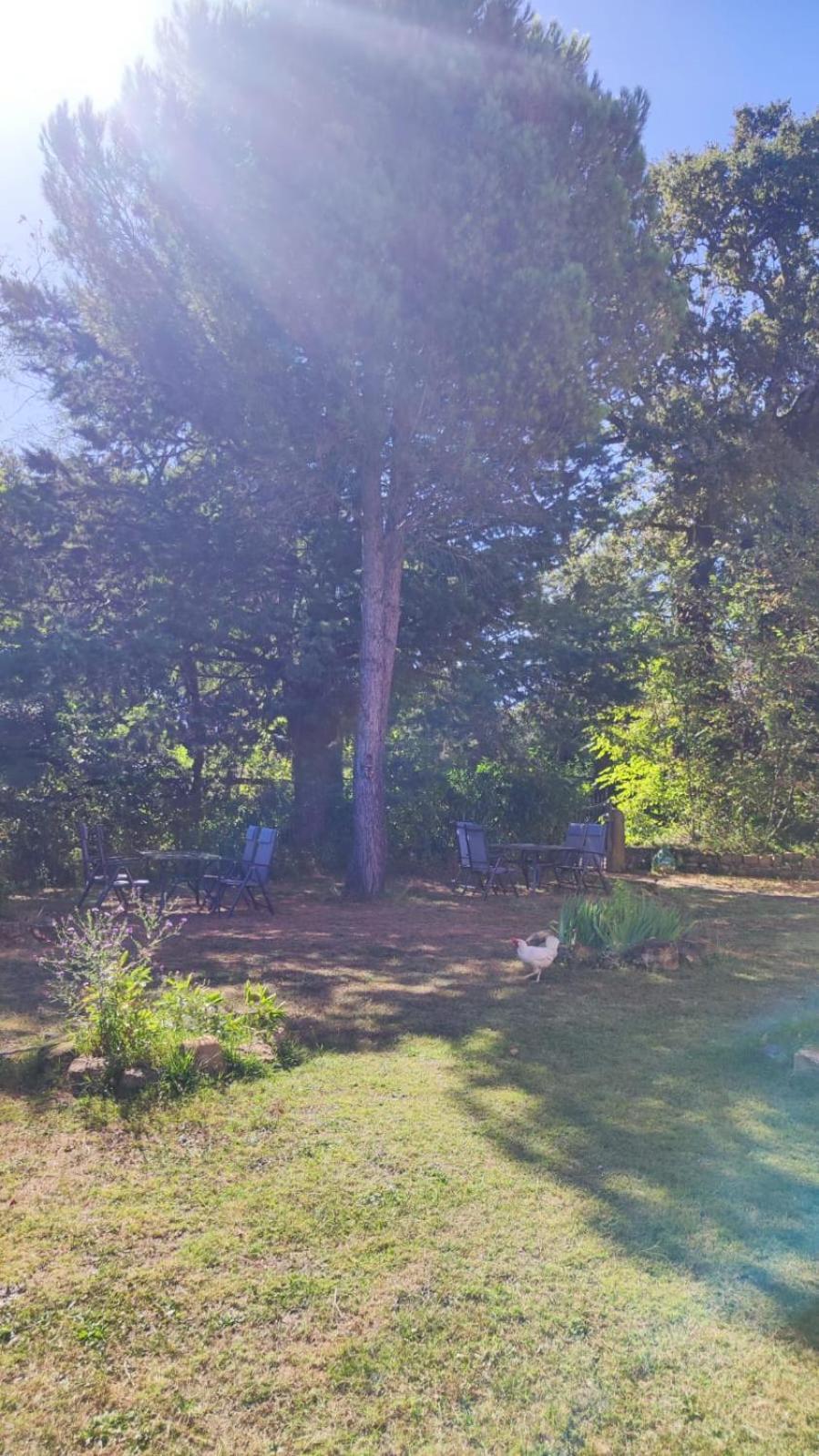 Gualdo di Macerata Camping Le Marche Apartments المظهر الخارجي الصورة