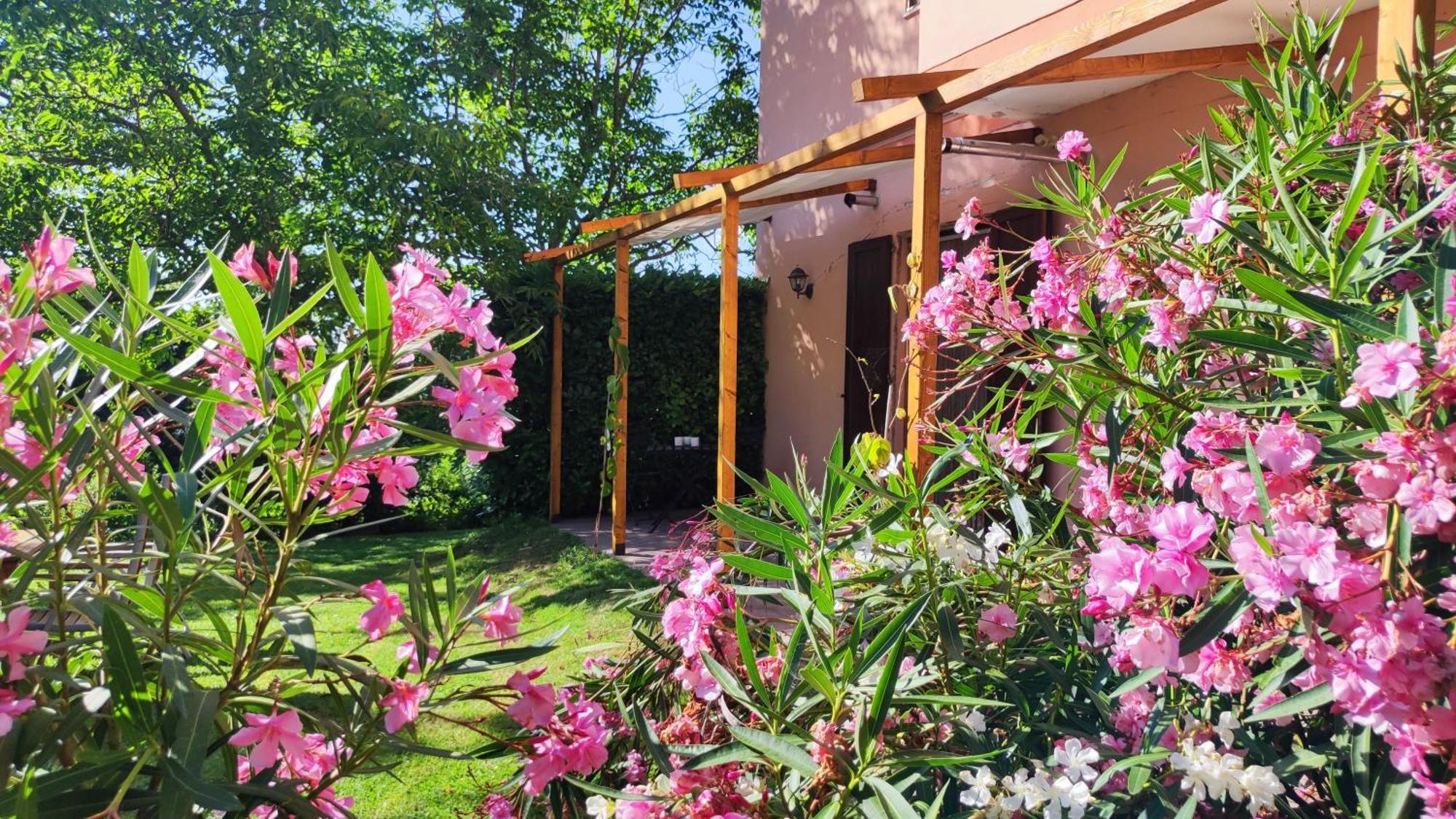 Gualdo di Macerata Camping Le Marche Apartments المظهر الخارجي الصورة