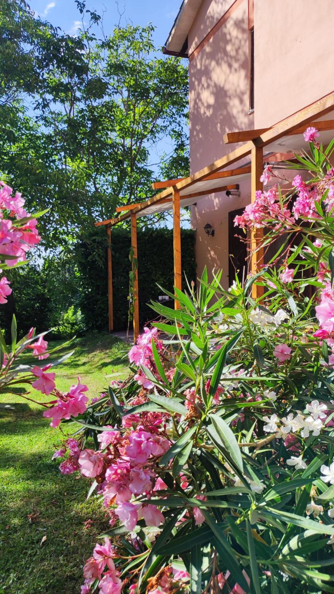 Gualdo di Macerata Camping Le Marche Apartments المظهر الخارجي الصورة